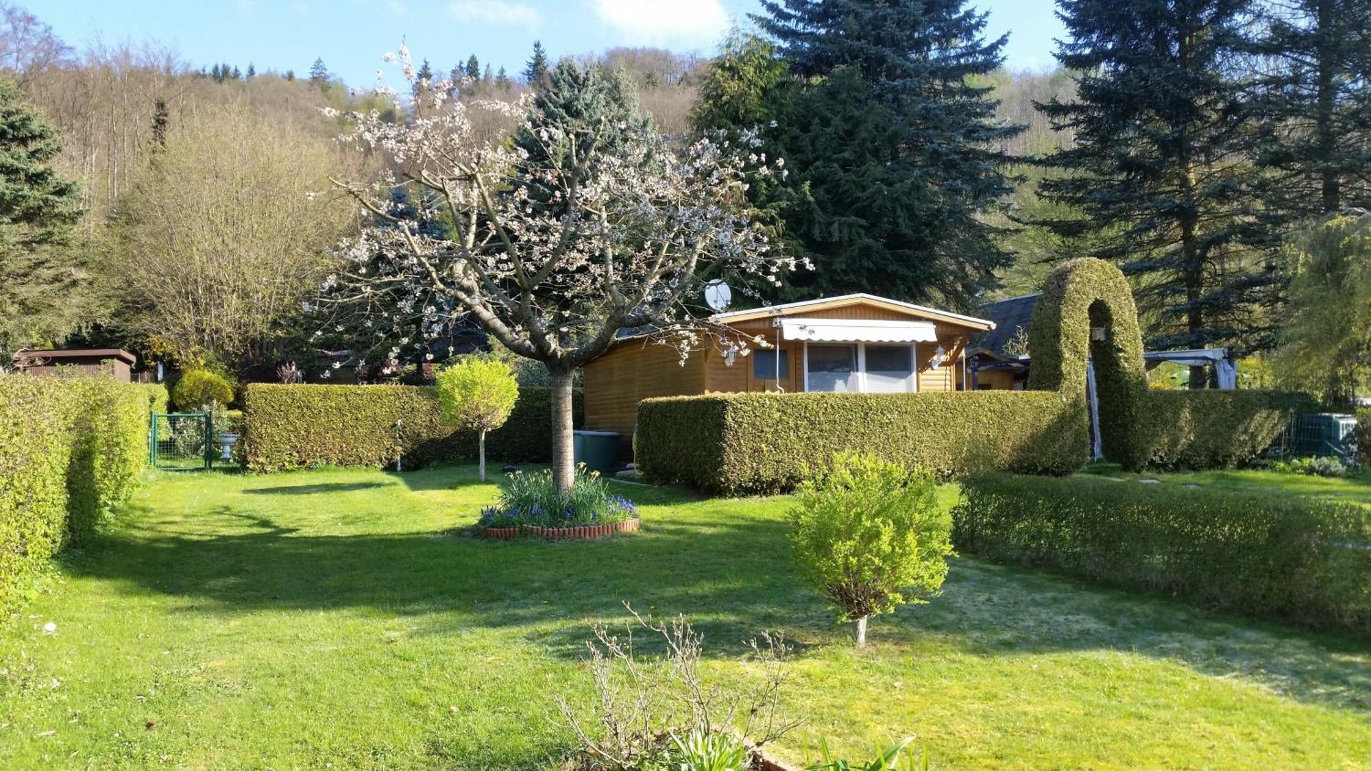 Вілла Poolhaus Im Suedharz Harztor Екстер'єр фото